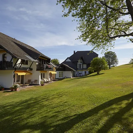 Hotel Zum Ochsen-2